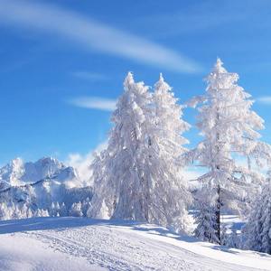 我遁着岁月的足迹