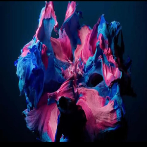 Shakara (feat. Poeta de diamantes)