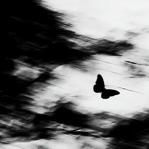 Sleepwalker（0.85X）