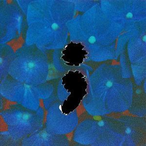 Half Way Down (Interlude)