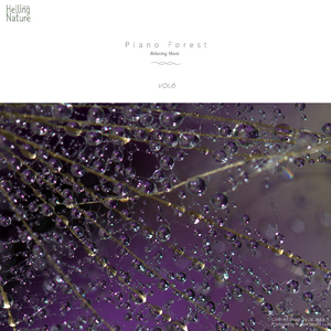 솔솔 부는 시원한 바람 (With Rain Sound)