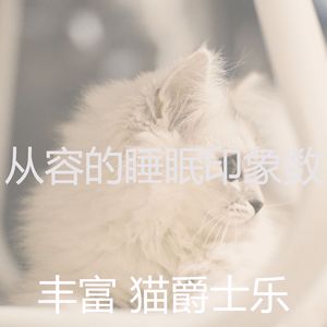 优美小猫器乐