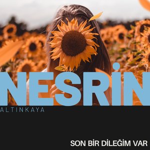 Papatyaların Renginde