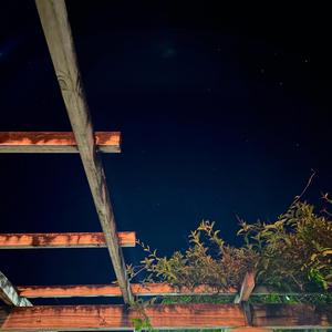 seriously (sped up track)