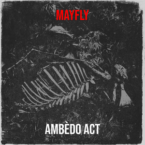 Mayfly