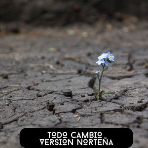 Todo Cambió (Norteña)