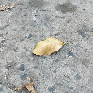 Chỉ Là Ế Thôi Muộn Phiền Làm Chi Cho Đau Đầu Hả Bạn