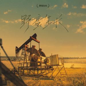 野蛮生长 ——电视剧《风吹半夏》原创同人曲