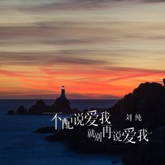 不配说爱我就别再说爱我 (DJ版)