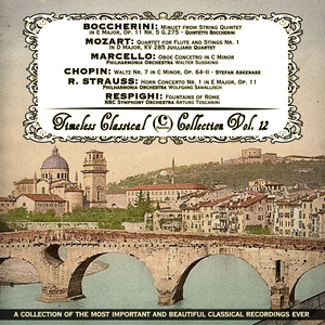 Oboe Concetro in C Minor: III. Presto