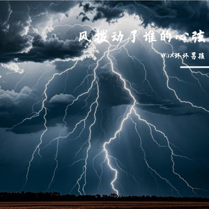 风拨动了谁的心弦