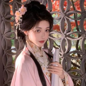 宫花红（DJ热播版）