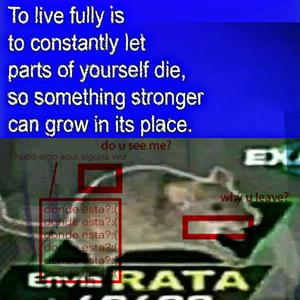 Ktamn