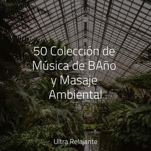 Maravillas Submarinas