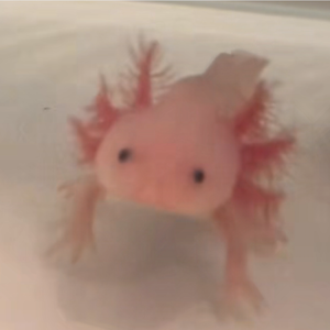 永远的回忆