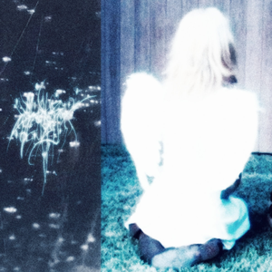 nielpa u mel rei'alsona