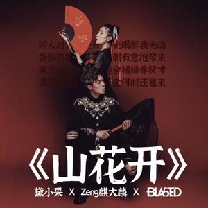 山花开 (伴奏)