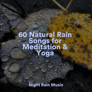 Pond, Splashing Water, Pebbles