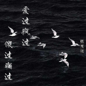 爱过疯过傻过痛过