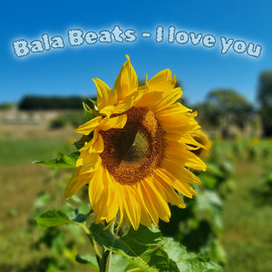 I love you