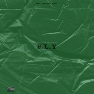 Ply
