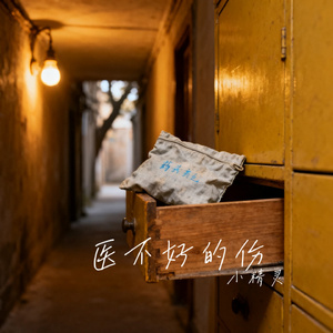 医不好的伤