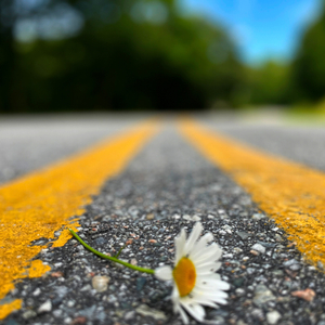 I Thought We Could Make It