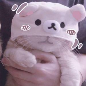 ドレミファロンド