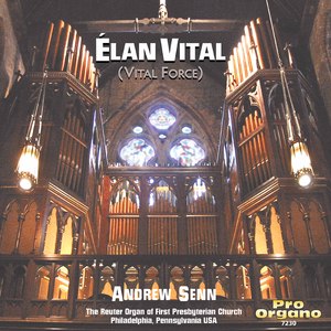 The Firebird Suite (1919 Version):IV. Berceuse - V. Finale [Arr. A. Senn for Organ] [Live]
