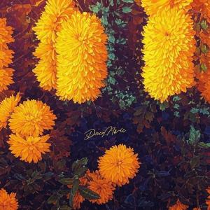 야간비행 (feat. 레이첼 야마가타) 纯音乐