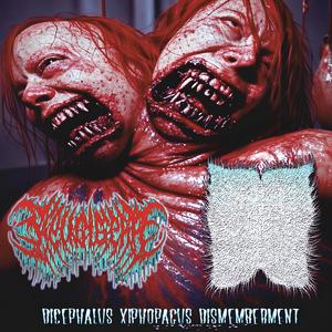 Dicephalus Xiphopagus Dismemberment (feat. Wretched Horror Scum & Couch Cushion)