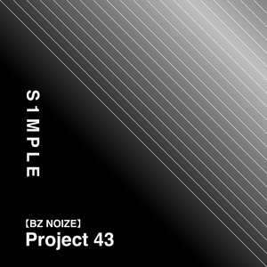 Project 43 - S1mple Bass (Hard Rock Noise)