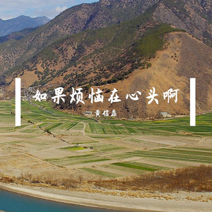 这年头的人都很现实