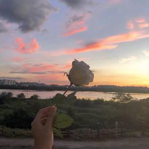 死心塌地去爱你