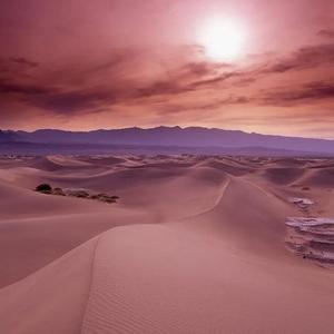 乱发的我想白票音乐人