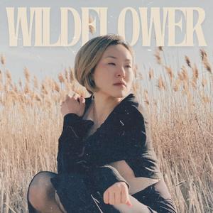 Wildflower