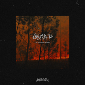 Лига святых (feat. ZXY) [prod. by stereoRYZE & White Punk & LOSTSVUND]