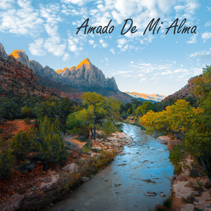 Necesito De Tu Gracia