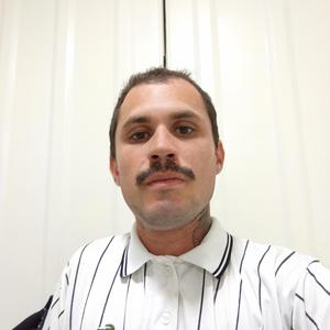 Zuckenberg e Ellon Musk