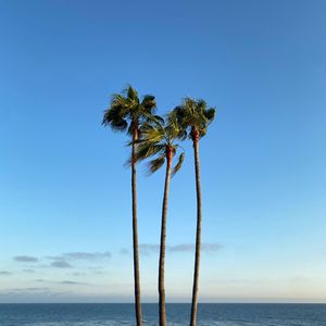 一见钟情 Aphrodite