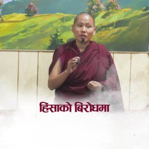 Himsako Birodh