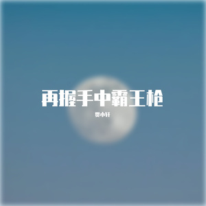 再握手中霸王枪
