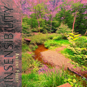 Ancient Forest (2024 Remastered Version)