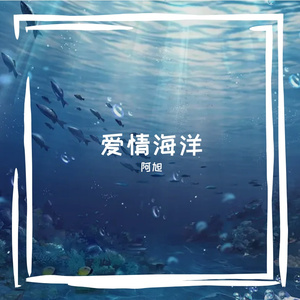 爱情海洋
