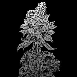 Sorrow, Sorrow（悲哀、悲哀）