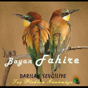 Darılan Sevgiliye (Taş Plaktan Günümüze)