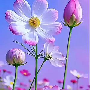 Neşeliyim neşeli. 😊*♥️**M** by Muhsin Bozkurt  ** M  **