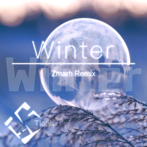 Tloak-Winter（Zmarh Remix）