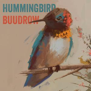 Hummingbird (Demo Version)