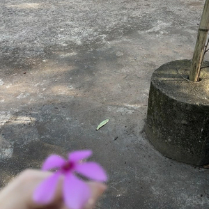 给我一个理由忘记.wav